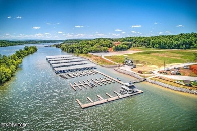 RARE TENNESSEE NATIONAL OPPORTUNITY! HOME + ADJACENT LOT - photo 57