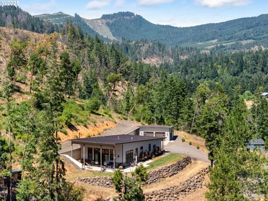 North Umpqua River Home For Sale in Umpqua Oregon