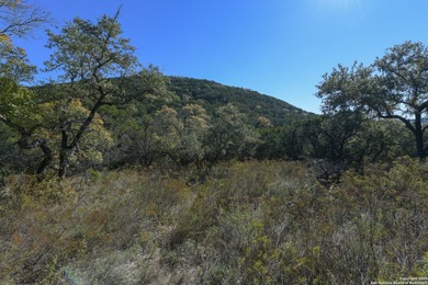 Lake Medina Acreage For Sale in Mico Texas