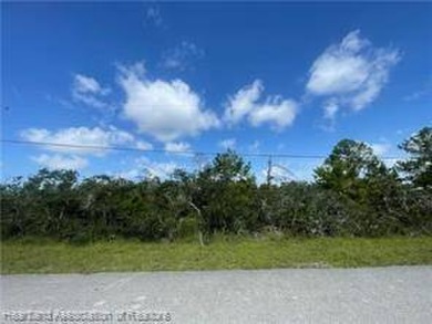 Lake Lot For Sale in Lake Placid, Florida