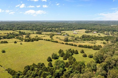 Prime Developers Dream Property. This is a rare opportunity to - photo 6