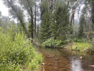 Thad Trujillo, The Wells Group of Durango, LLC, C:,,: A Rare - photo 9