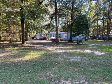 Lake Eufaula / Walter F George Reservoir Home For Sale in Abbeville Alabama