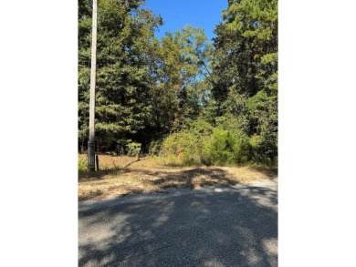 Lake Eufaula / Walter F George Reservoir Lot For Sale in Abbeville Alabama