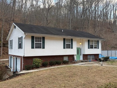 Paintsville Lake Home For Sale in Staffordsville Kentucky