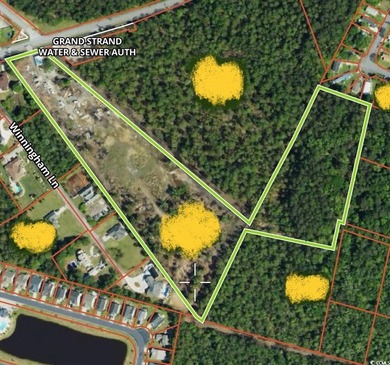 Private Wooded Acreage with Endless Possibilities off Hwy 707 - photo 2