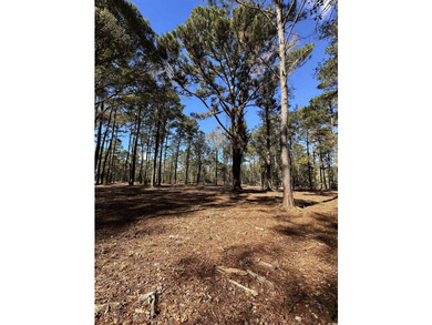 Private Wooded Acreage with Endless Possibilities off Hwy 707 - photo 4