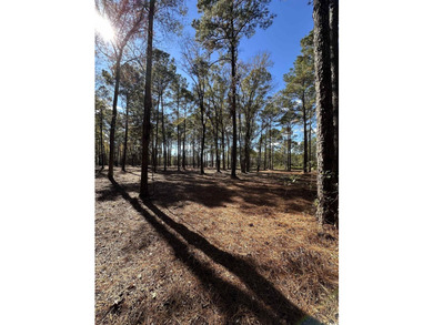 Private Wooded Acreage with Endless Possibilities off Hwy 707 - photo 5