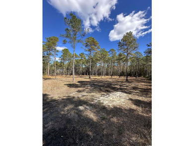 Private Wooded Acreage with Endless Possibilities off Hwy 707 - photo 6
