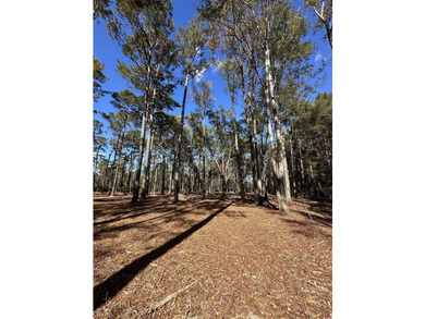 Private Wooded Acreage with Endless Possibilities off Hwy 707 - photo 8