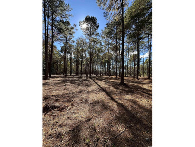 Private Wooded Acreage with Endless Possibilities off Hwy 707 - photo 9