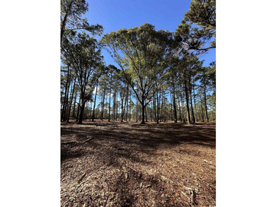 Private Wooded Acreage with Endless Possibilities off Hwy 707 - photo 10