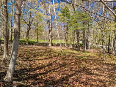 Stunning new construction energy efficient Modern Farmhouse in - photo 12