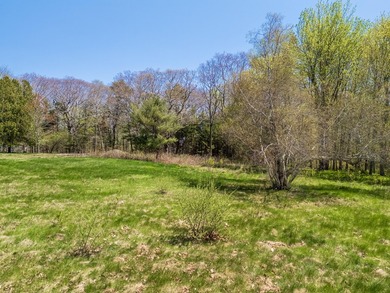 Stunning new construction energy efficient Modern Farmhouse in - photo 18