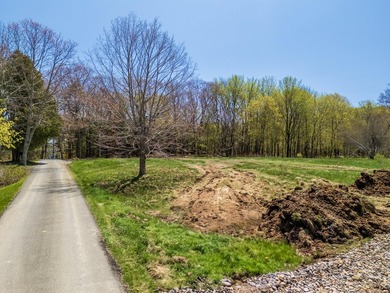 Stunning new construction energy efficient Modern Farmhouse in - photo 19