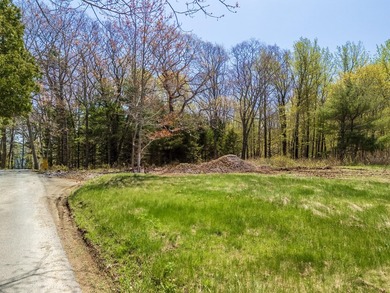 Stunning new construction energy efficient Modern Farmhouse in - photo 20