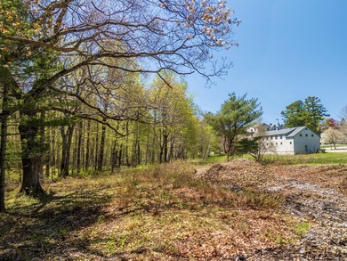 Stunning new construction energy efficient Modern Farmhouse in - photo 23