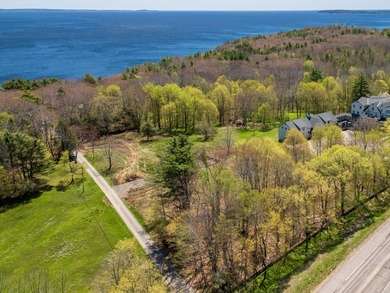 Stunning new construction energy efficient Modern Farmhouse in - photo 28