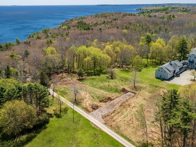 Stunning new construction energy efficient Modern Farmhouse in - photo 29