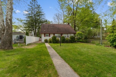 Cape Cod on Shavehead Lake - photo 27