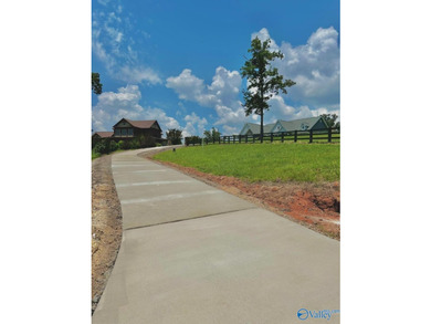 Experience breathtaking panoramic views of Weiss Lake and - photo 46