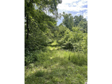 Lake Acreage For Sale in Cadiz, Kentucky