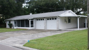 (private lake) Home For Sale in Tampa Florida