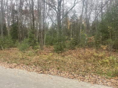 Lake James Lot For Sale in Prudenville Michigan