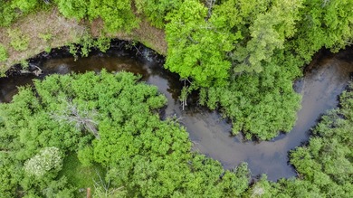 (private lake, pond, creek) Acreage For Sale in Irons Michigan
