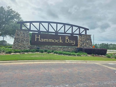 Nestled in the highly sought after Hammock Bay Community, 40 - photo 35