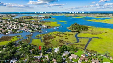 INTRACOASTAL & MARSH VIEWS! BRAND-NEW ROOF! Experience peaceful - photo 50