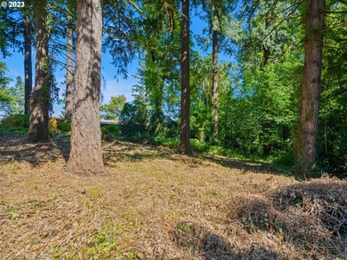 Mt Hood View potential on this private, Dunthorpe Lot, .95 Acres - photo 2