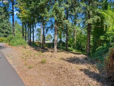 Mt Hood View potential on this private, Dunthorpe Lot, .95 Acres - photo 3