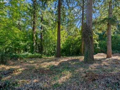 Mt Hood View potential on this private, Dunthorpe Lot, .95 Acres - photo 4