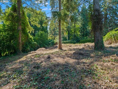 Mt Hood View potential on this private, Dunthorpe Lot, .95 Acres - photo 5