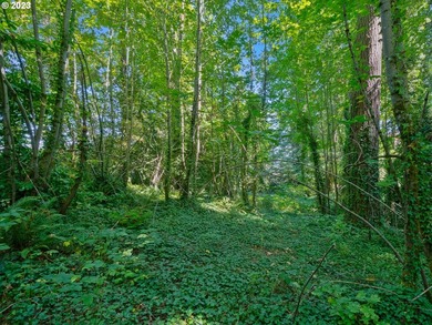 Mt Hood View potential on this private, Dunthorpe Lot, .95 Acres - photo 6