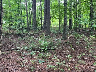 (private lake, pond, coastal) Lot For Sale in Dallas Georgia