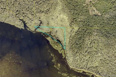  Acreage For Sale in Lake Panasoffkee Florida