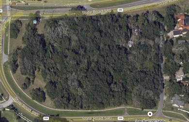 Prime opportunity in the heart of Safety Harbor!! This expansive - photo 2