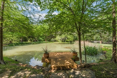 As you pass through the gates, ducks and turtles drift along the - photo 4