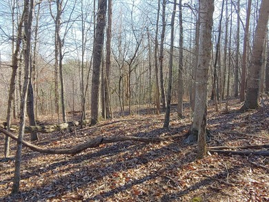 2.7 acre lot - convenient to Westlake for shopping, groceries - photo 1