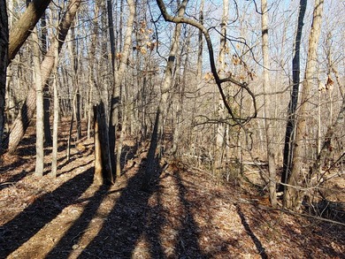 2.7 acre lot - convenient to Westlake for shopping, groceries - photo 2