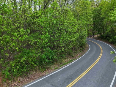 **MOTIVATED SELLERS**Ideal recreational location, 0.60 mile to - photo 3