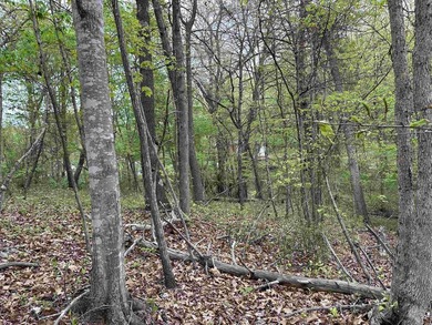**MOTIVATED SELLERS**Ideal recreational location, 0.60 mile to - photo 6
