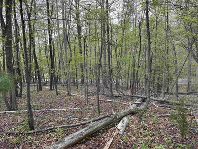 **MOTIVATED SELLERS**Ideal recreational location, 0.60 mile to - photo 7