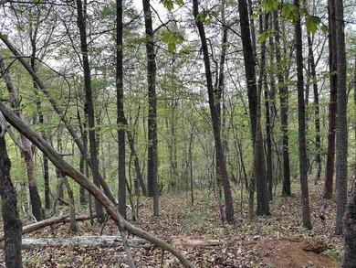 **MOTIVATED SELLERS**Ideal recreational location, 0.60 mile to - photo 8