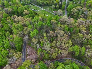 **MOTIVATED SELLERS**Ideal recreational location, 0.60 mile to - photo 10