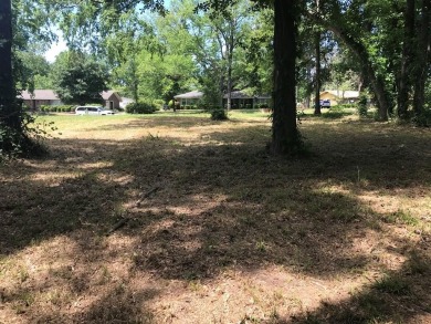 Lake Eufaula / Walter F George Reservoir Lot For Sale in Eufaula Alabama