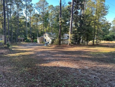 Lake Eufaula / Walter F George Reservoir Home For Sale in Abbeville Alabama