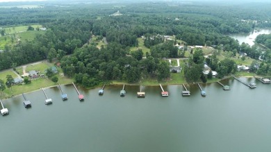 Lake Eufaula / Walter F George Reservoir Lot For Sale in Abbeville Alabama